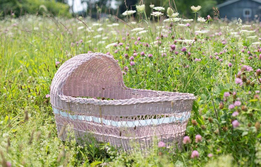 Tips to Choose the Right Bassinet for Your Baby's Sleep Needs
